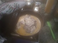 Pork Steaks in Mushroom Soup - Jan, 2023.JPG