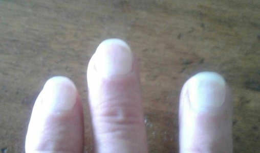 Nails from front.jpg