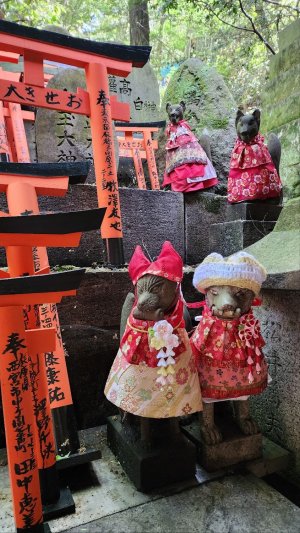 Fushimi Inari - dolled up.jpg